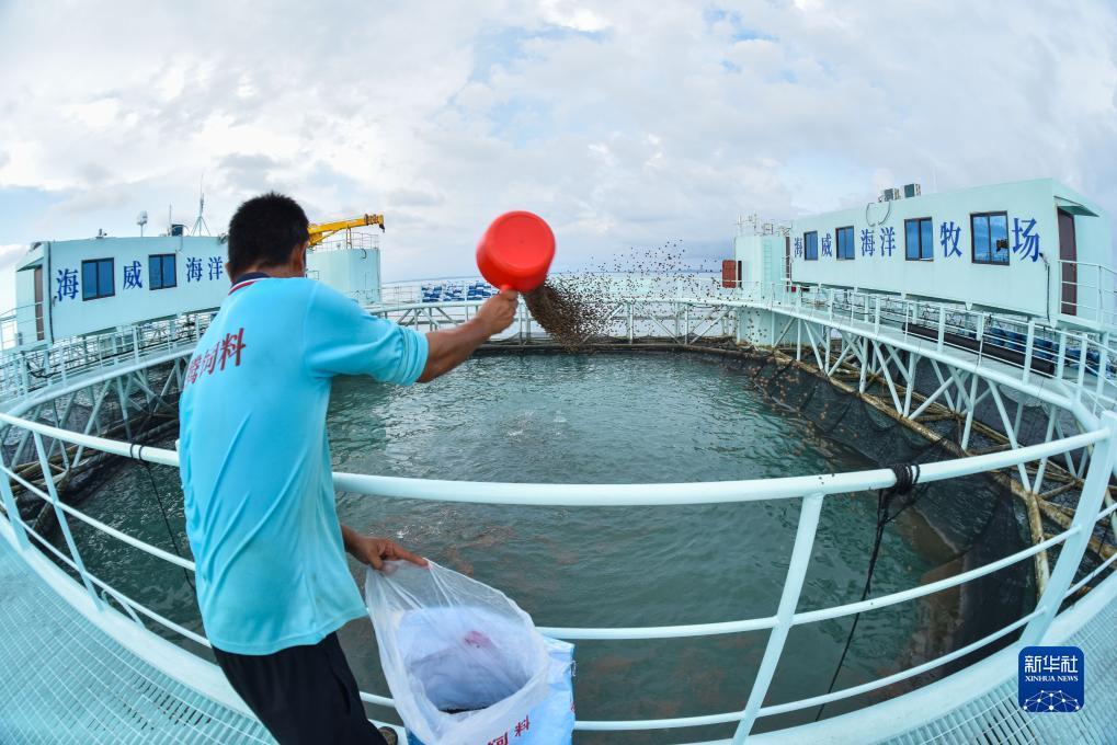 永利注册网址